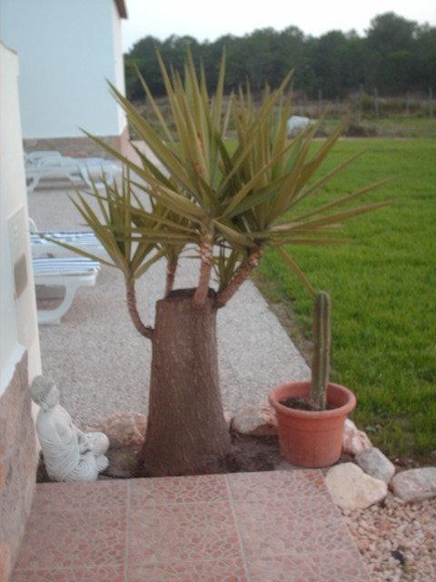 里戈尔 Quinta Da Bunheira旅馆 外观 照片