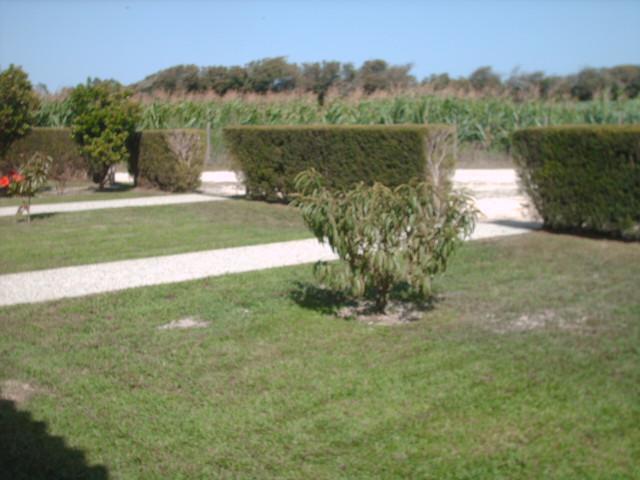 里戈尔 Quinta Da Bunheira旅馆 外观 照片